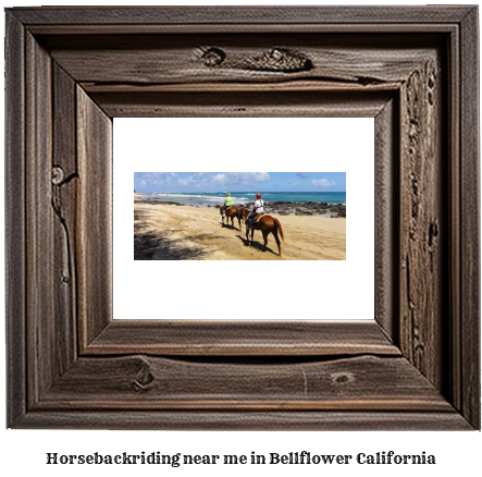 horseback riding near me in Bellflower, California